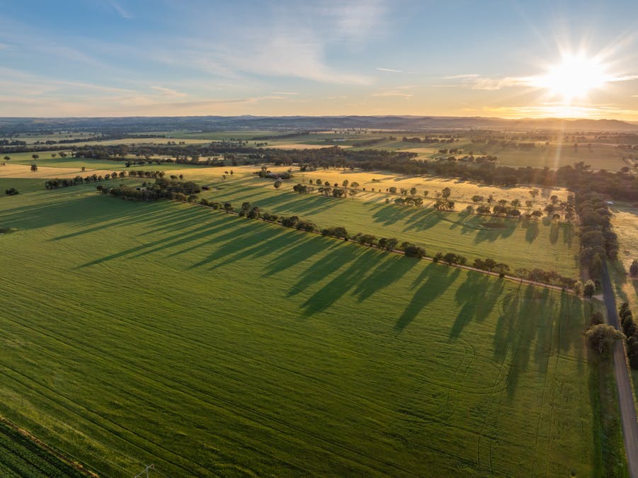 'Matilda' 147 Noonbinna East Road, Cowra, NSW, 2794 - Image 23