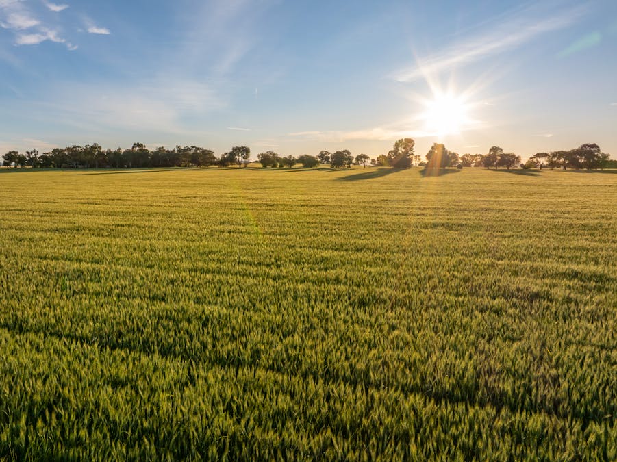 'Matilda' 147 Noonbinna East Road, Cowra, NSW, 2794 - Image 24