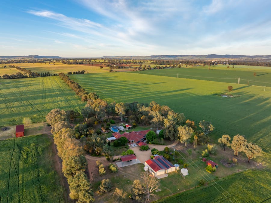 'Matilda' 147 Noonbinna East Road, Cowra, NSW, 2794 - Image 25