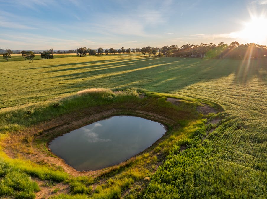 'Matilda' 147 Noonbinna East Road, Cowra, NSW, 2794 - Image 4