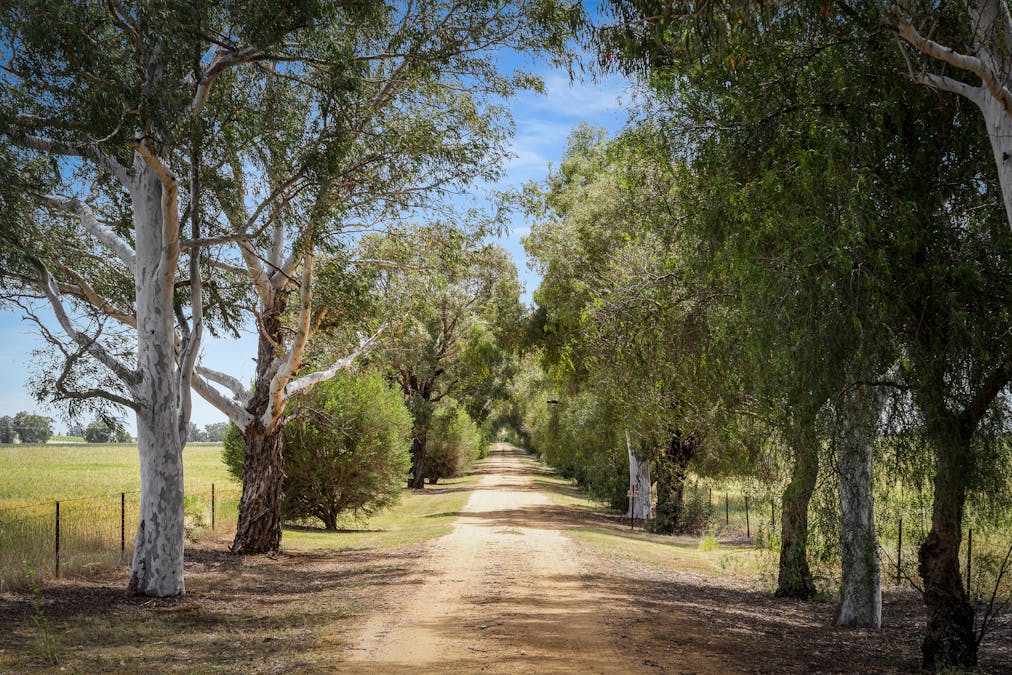 'Matilda' 147 Noonbinna East Road, Cowra, NSW, 2794 - Image 5