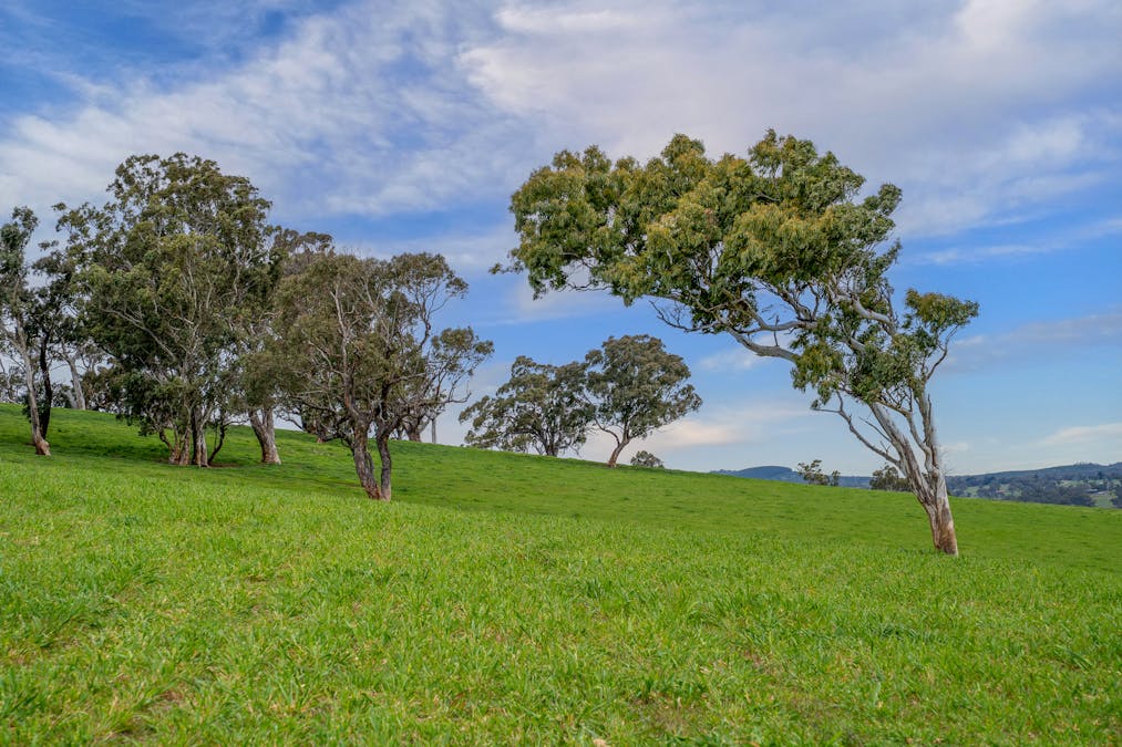 1712 Hazelgrove Road, Tarana, NSW, 2787 - Image 17