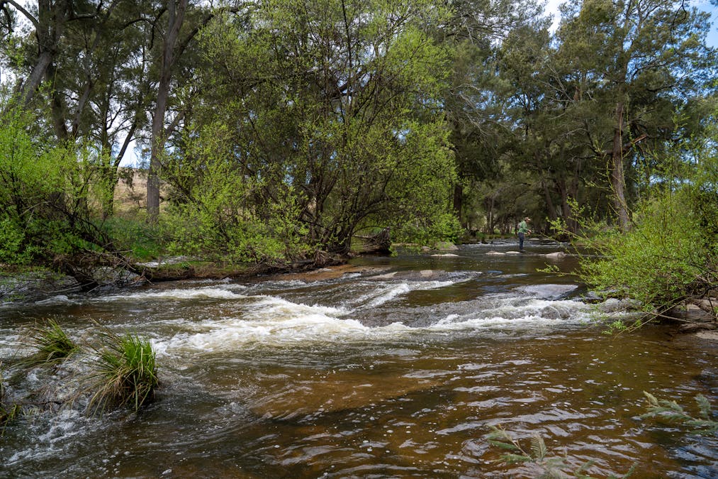 1712 Hazelgrove Road, Tarana, NSW, 2787 - Image 2