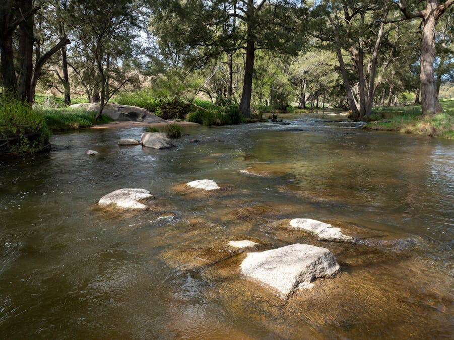 1712 Hazelgrove Road, Tarana, NSW, 2787 - Image 20