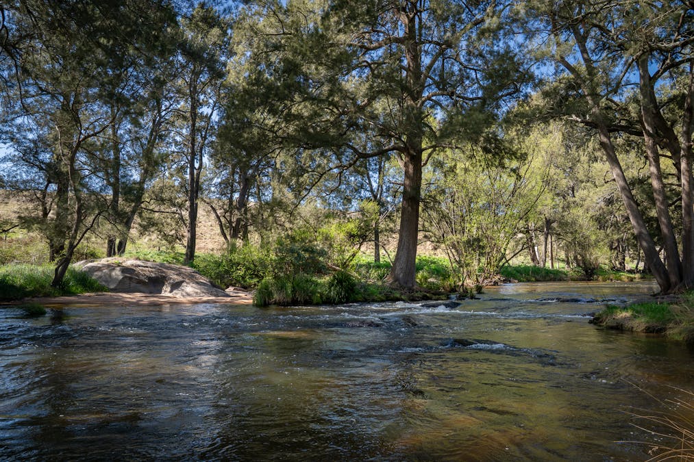 1712 Hazelgrove Road, Tarana, NSW, 2787 - Image 21