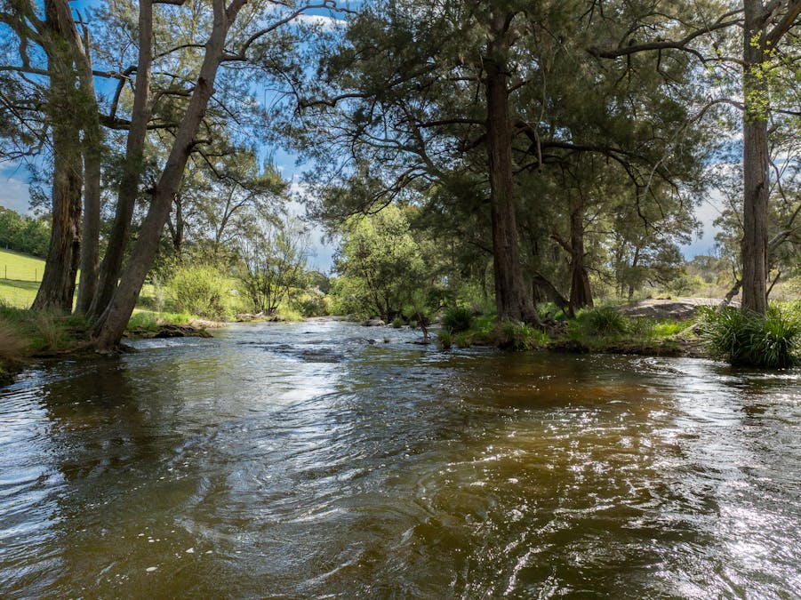 1712 Hazelgrove Road, Tarana, NSW, 2787 - Image 22