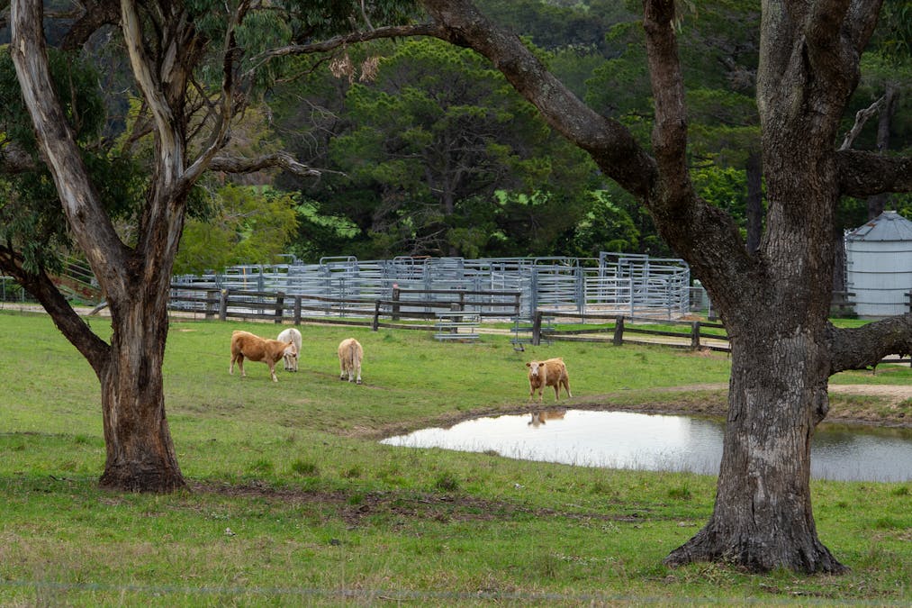 1712 Hazelgrove Road, Tarana, NSW, 2787 - Image 4