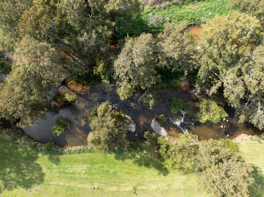 1712 Hazelgrove Road, Tarana, NSW, 2787 - Image 31