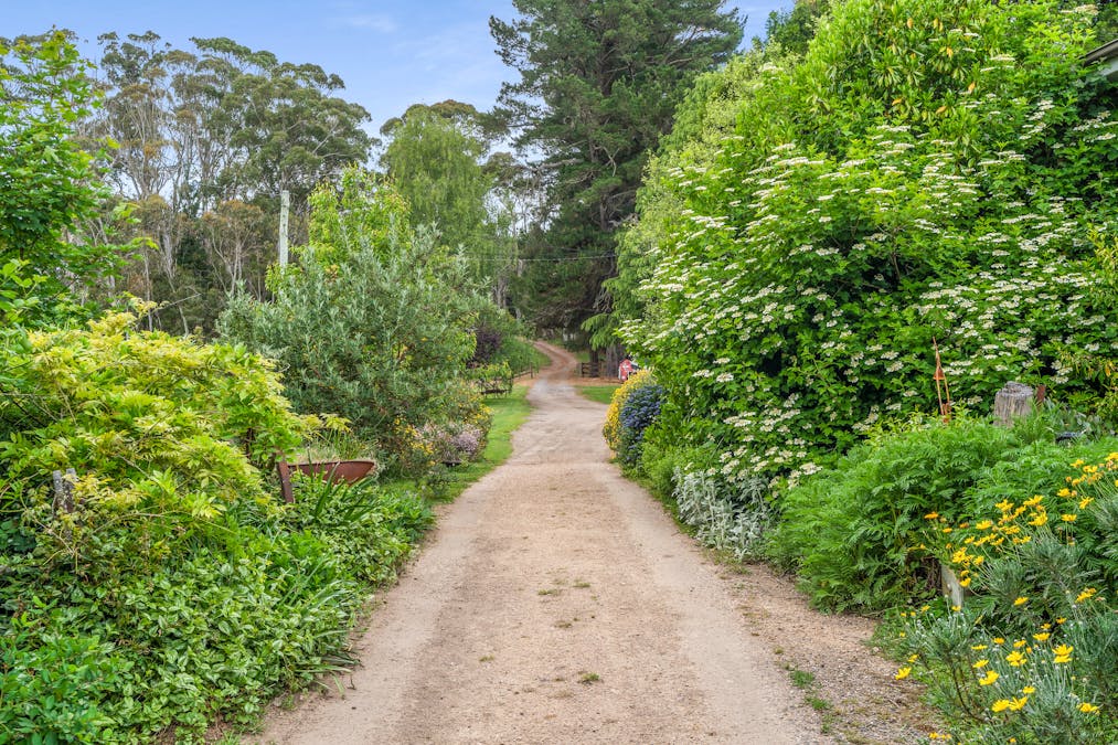 1205 Sunny Corner Road, Sunny Corner, NSW, 2795 - Image 3