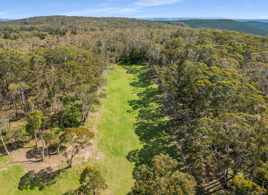 1205 Sunny Corner Road, Sunny Corner, NSW, 2795 - Image 31