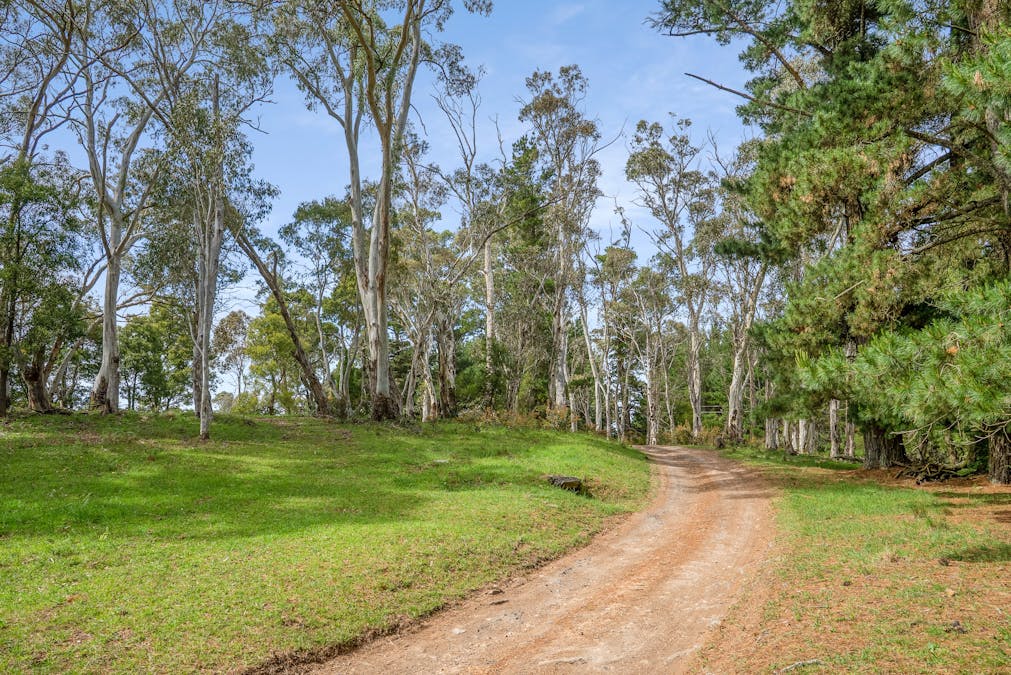 1205 Sunny Corner Road, Sunny Corner, NSW, 2795 - Image 35