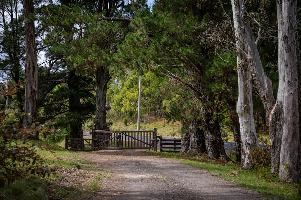 1205 Sunny Corner Road, Sunny Corner, NSW, 2795 - Image 17