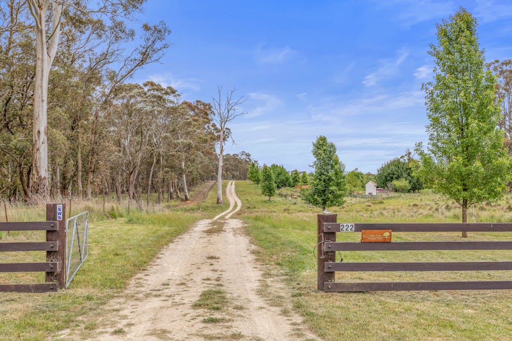 222 Cranfield Road, Chatham Valley, NSW, 2787 - Image 3