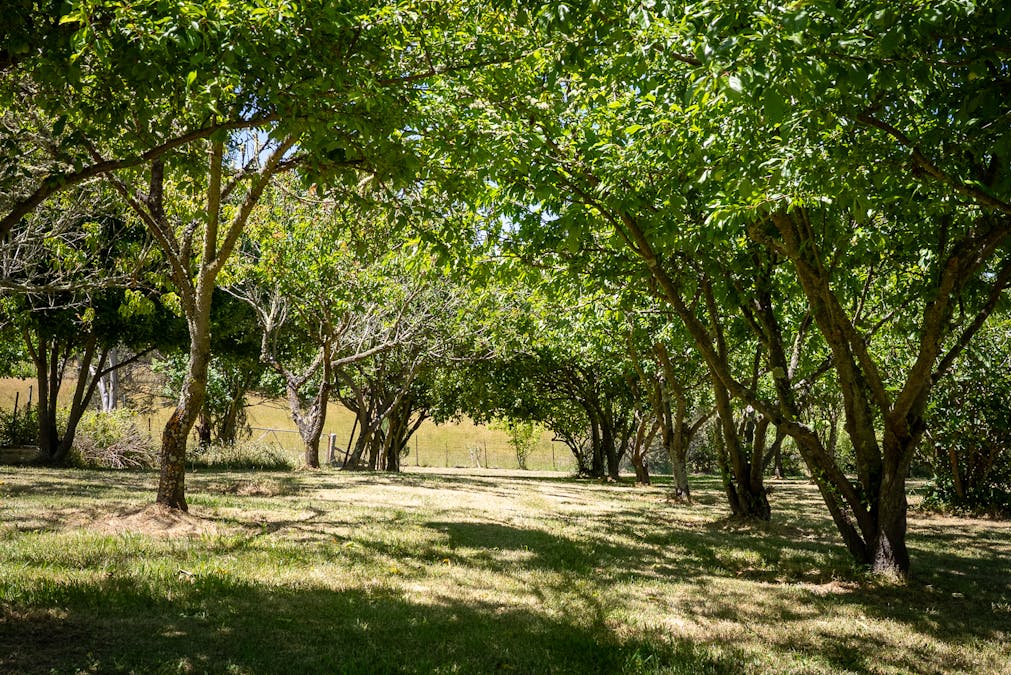 132 Hazelgrove Road, Oberon, NSW, 2787 - Image 15