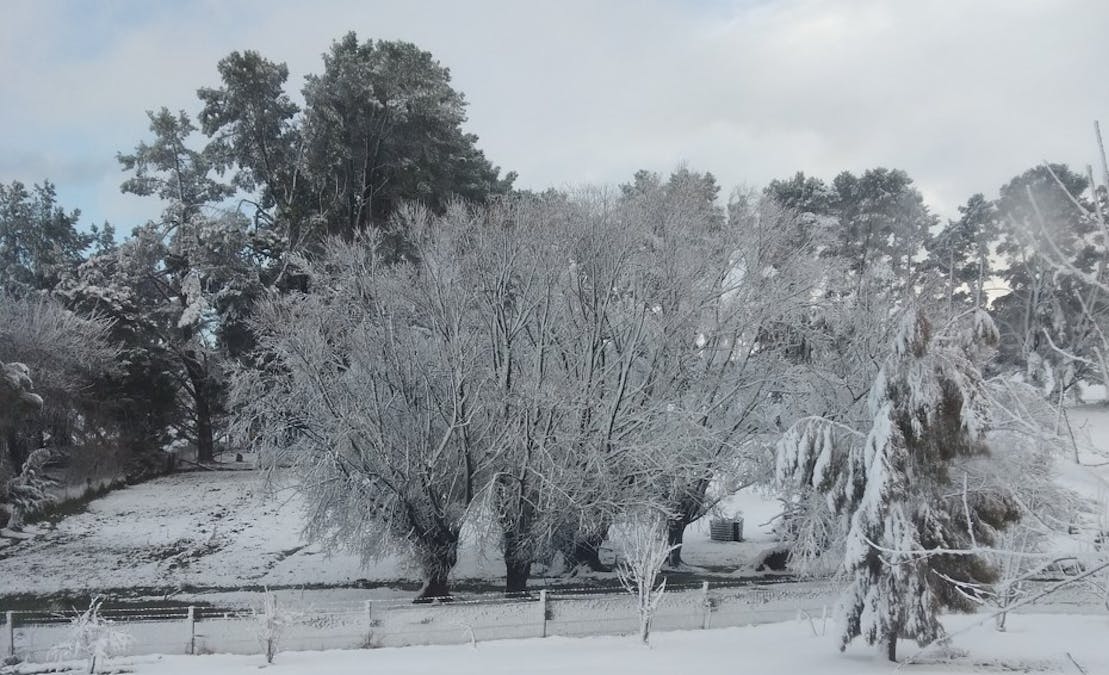 132 Hazelgrove Road, Oberon, NSW, 2787 - Image 27