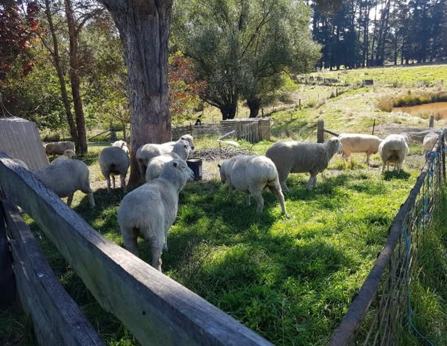 132 Hazelgrove Road, Oberon, NSW, 2787 - Image 30