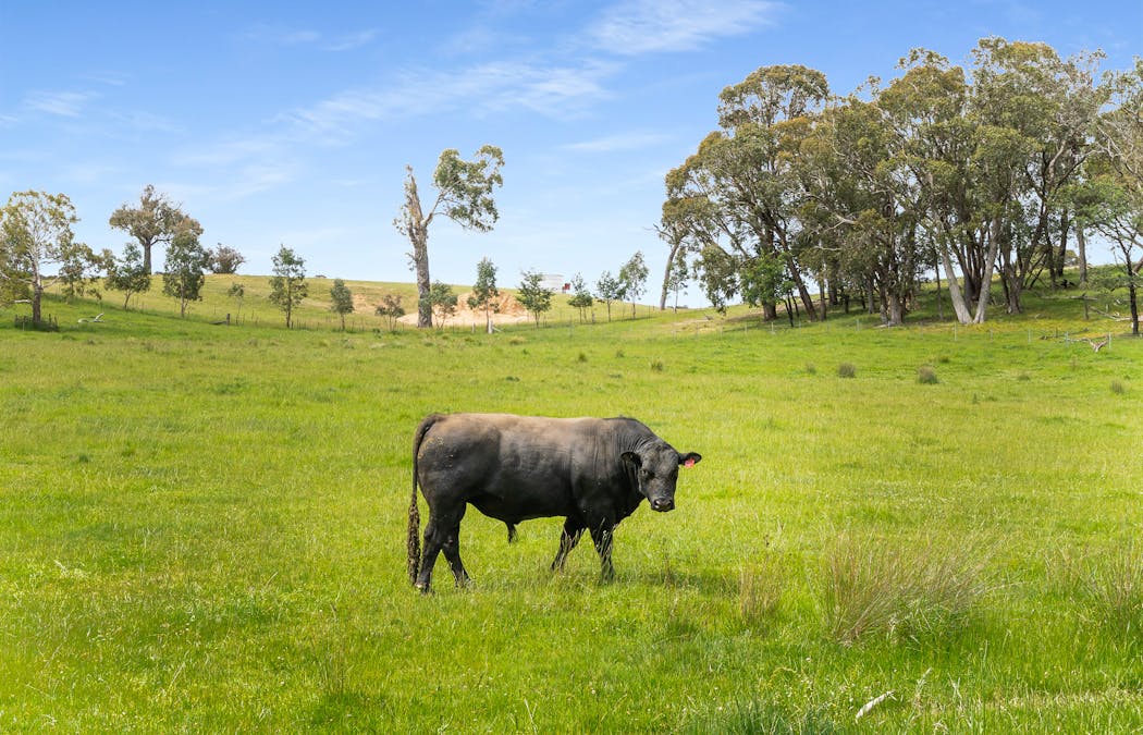 47 Old Trunk Road, Bathurst, NSW, 2795 - Image 14