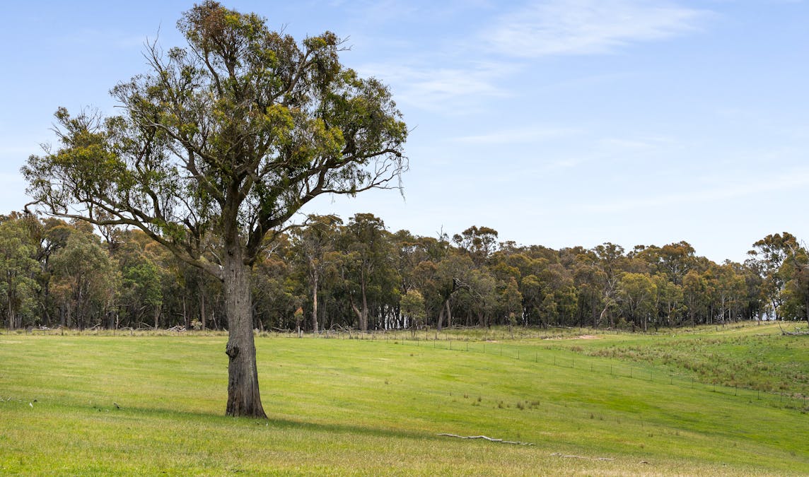 47 Old Trunk Road, Bathurst, NSW, 2795 - Image 23