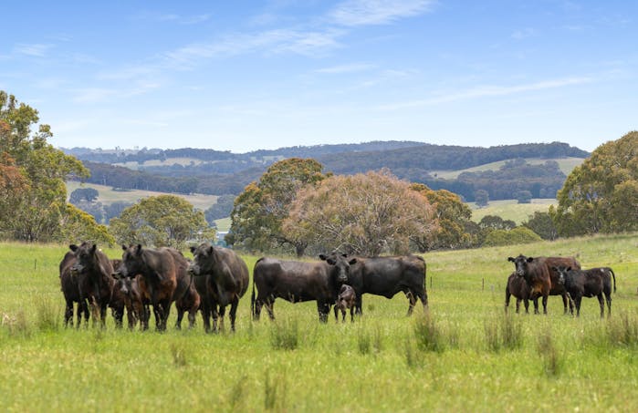 47 Old Trunk Road, Bathurst, NSW, 2795 - Image 1