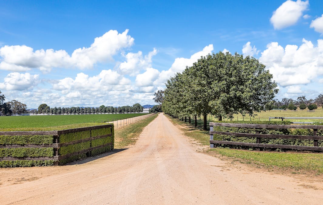 'Southbank' 408 Farleigh Trig Road, Cowra, NSW, 2794 - Image 15