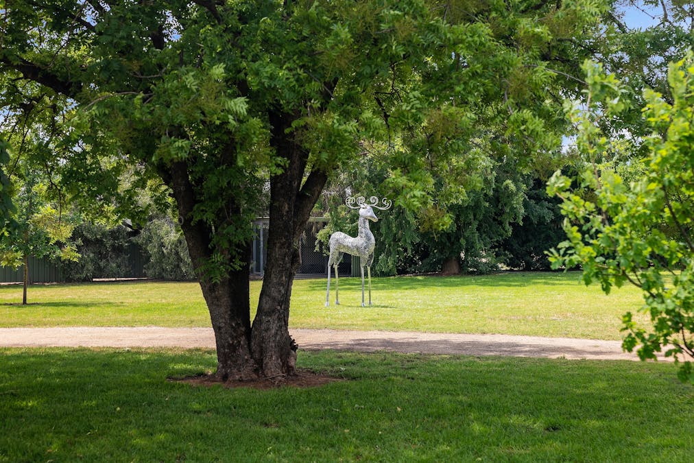 'Southbank' 408 Farleigh Trig Road, Cowra, NSW, 2794 - Image 25