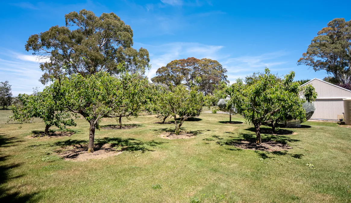 71 Sloggetts Road, Oberon, NSW, 2787 - Image 24