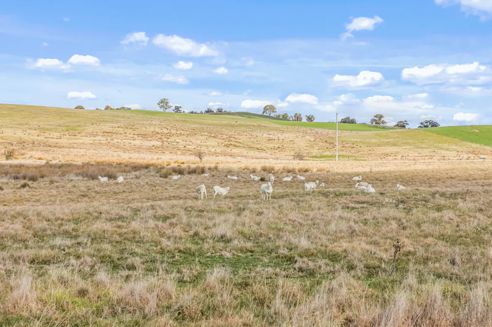 2225 Hobbys Yards Road, Barry, NSW, 2799 - Image 2