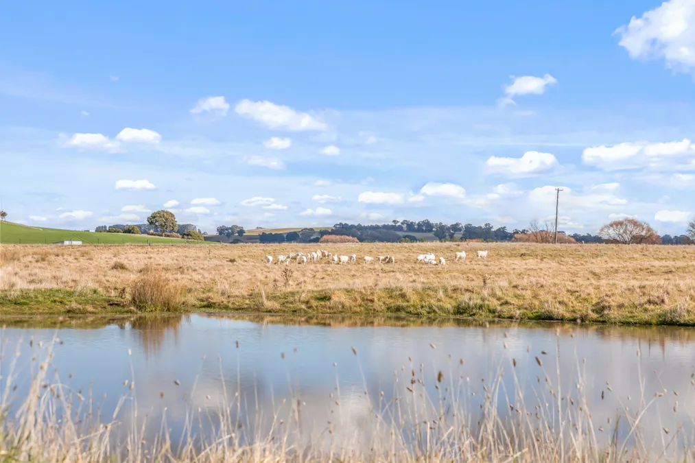 2225 Hobbys Yards Road, Barry, NSW, 2799 - Image 6