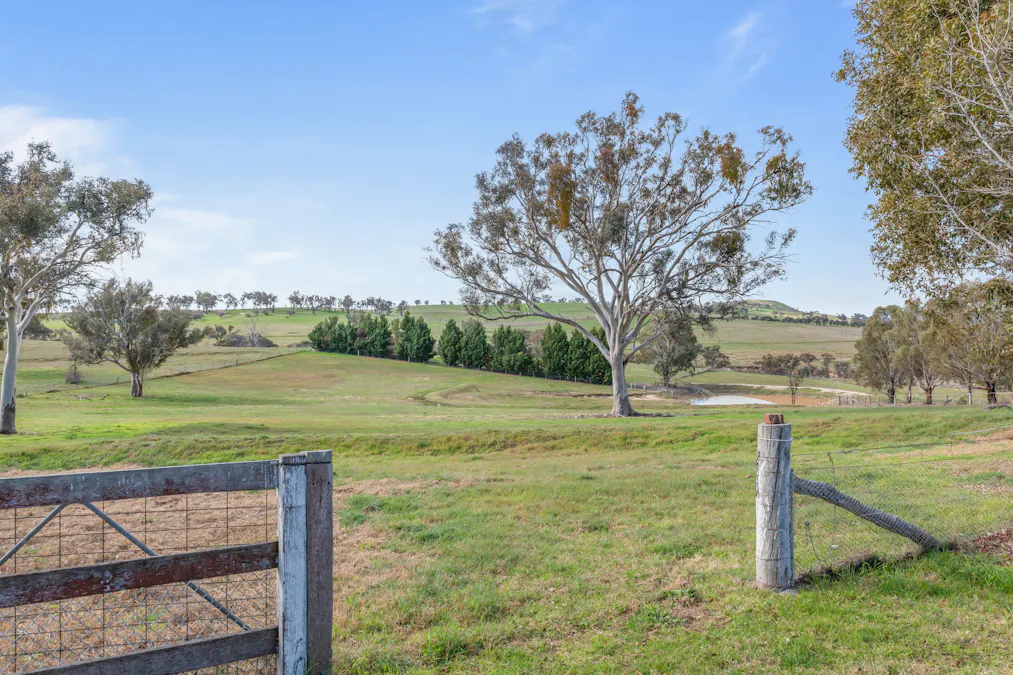 136 Sutherland Drive, Georges Plains, NSW, 2795 - Image 19