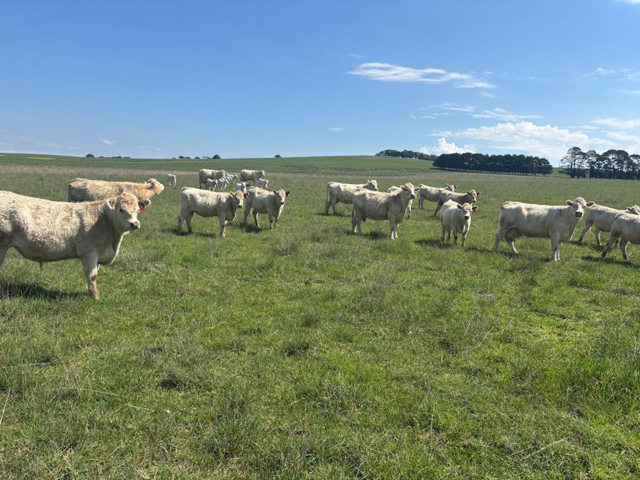 1017 Old Lachlan Road, Barry, NSW, 2799 - Image 18