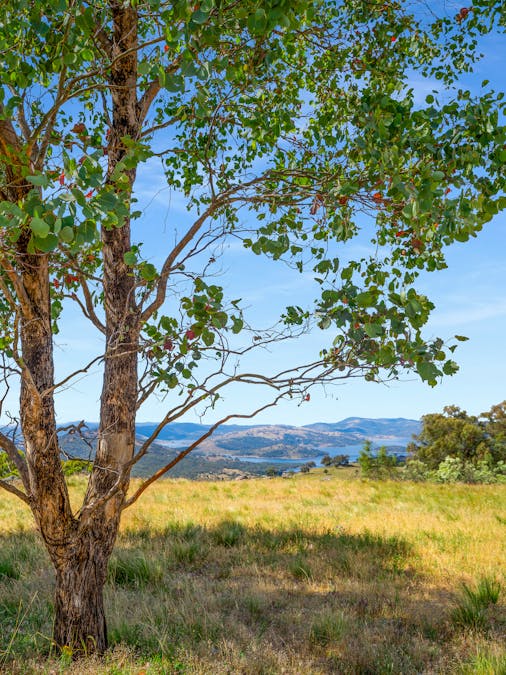 542C Clements Road, Woodstock, NSW, 2793 - Image 3