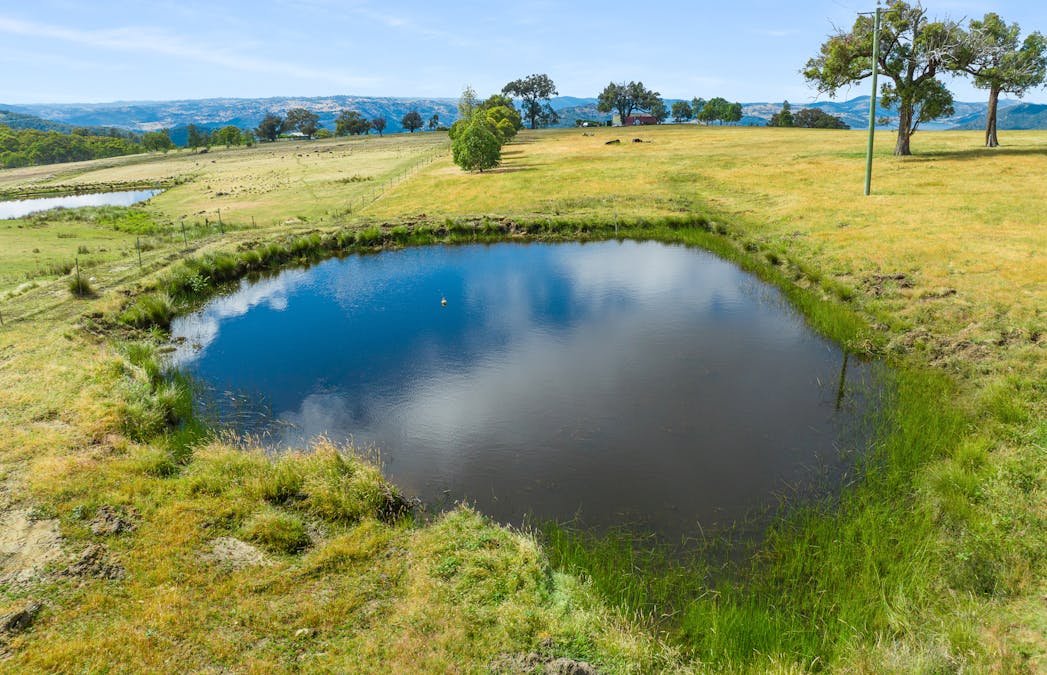 542C Clements Road, Woodstock, NSW, 2793 - Image 4