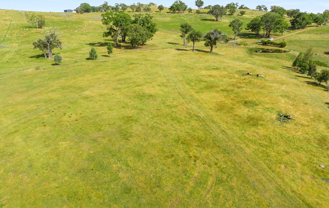 542C Clements Road, Woodstock, NSW, 2793 - Image 9