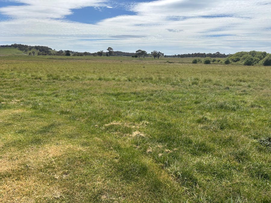 1456 Hobbys Yards Road, Hobbys Yards, NSW, 2795 - Image 2