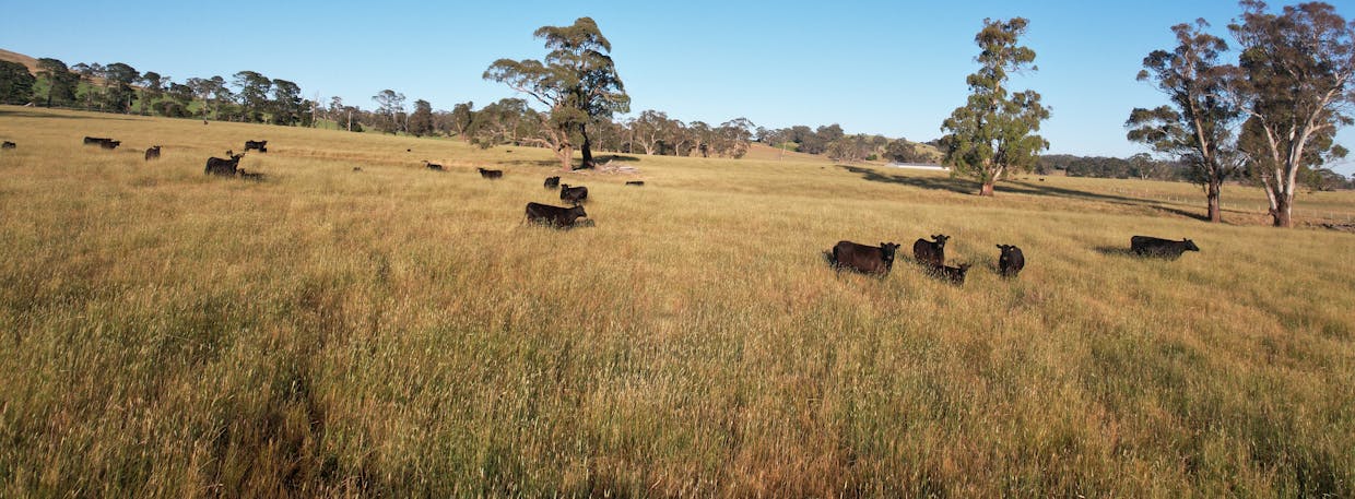 584 Three Brothers Road, Moorilda, NSW, 2795 - Image 22