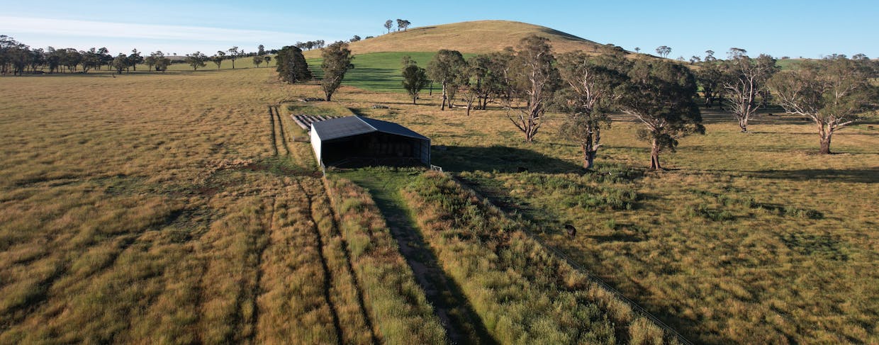 584 Three Brothers Road, Moorilda, NSW, 2795 - Image 10