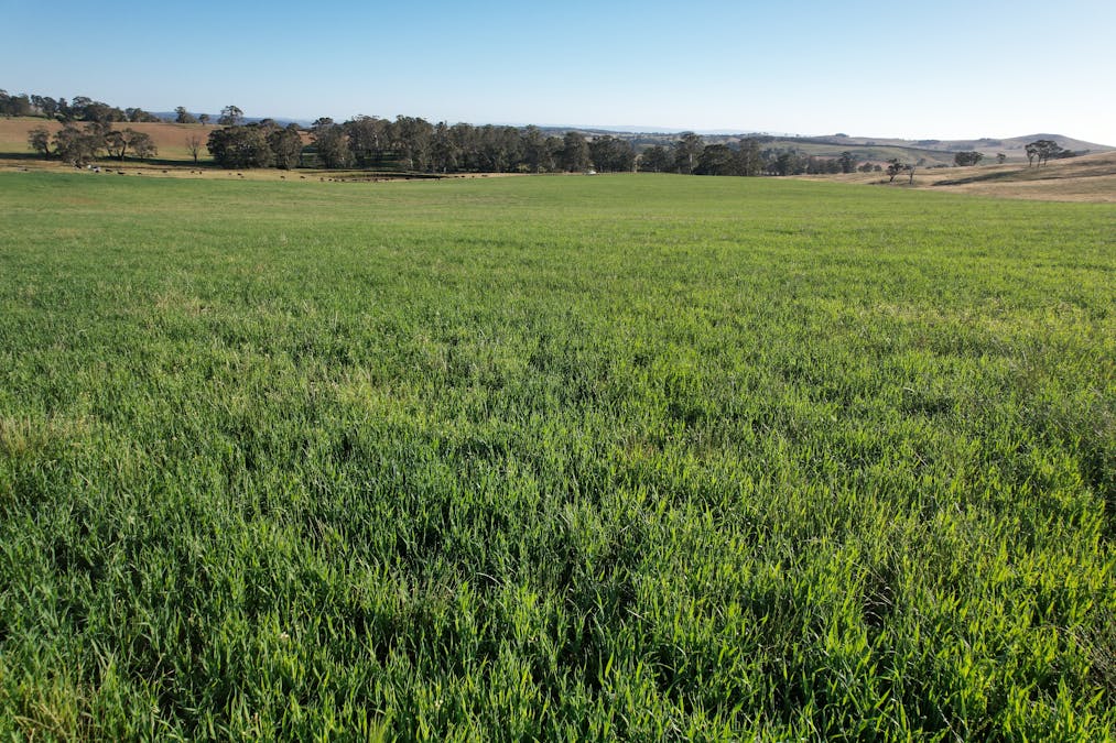 584 Three Brothers Road, Moorilda, NSW, 2795 - Image 26