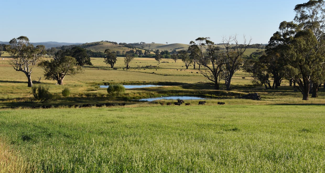 584 Three Brothers Road, Moorilda, NSW, 2795 - Image 28