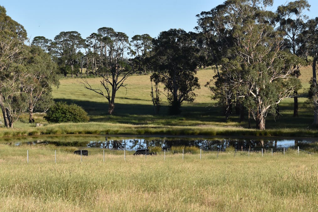 584 Three Brothers Road, Moorilda, NSW, 2795 - Image 19