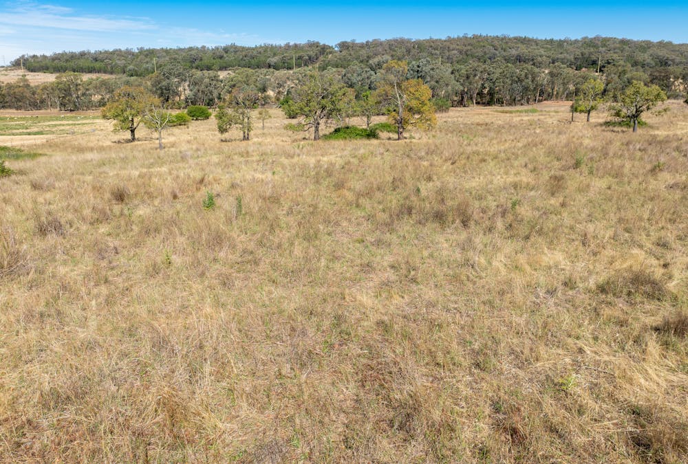 112 Sandy Creek Road, Molong, NSW, 2866 - Image 17