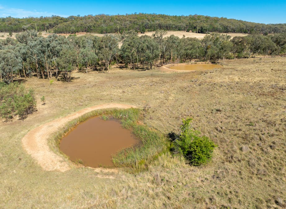 112 Sandy Creek Road, Molong, NSW, 2866 - Image 18