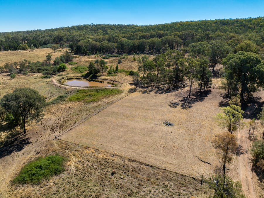 112 Sandy Creek Road, Molong, NSW, 2866 - Image 19