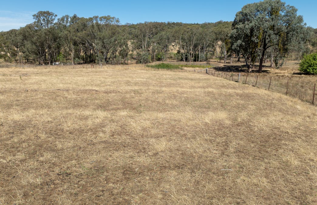 112 Sandy Creek Road, Molong, NSW, 2866 - Image 20