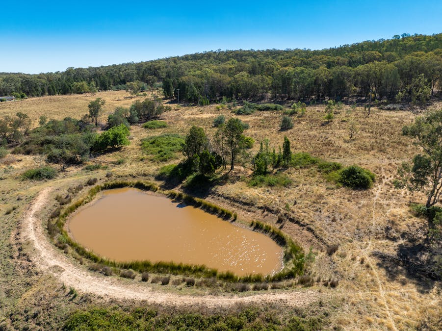 112 Sandy Creek Road, Molong, NSW, 2866 - Image 21