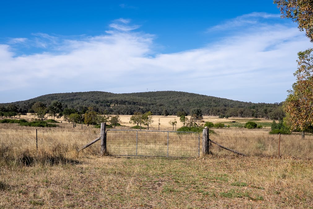 112 Sandy Creek Road, Molong, NSW, 2866 - Image 2