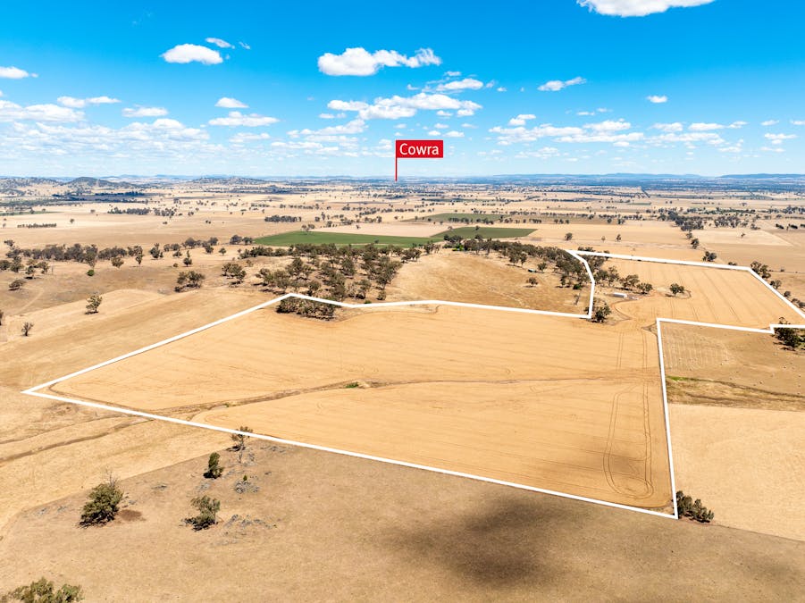 530 Billimari Road, Cowra, NSW, 2794 - Image 2