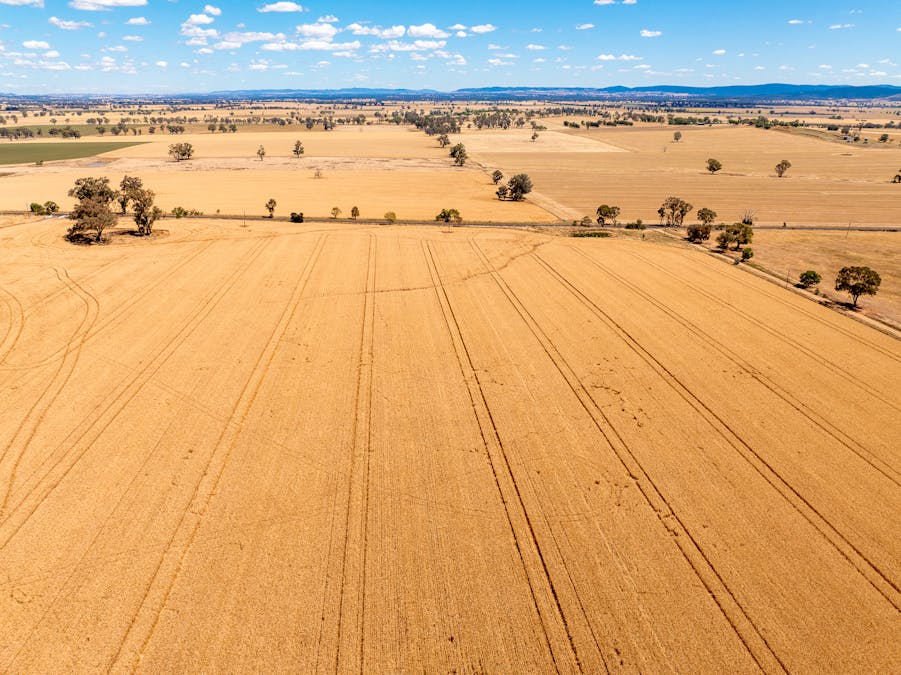 530 Billimari Road, Cowra, NSW, 2794 - Image 7