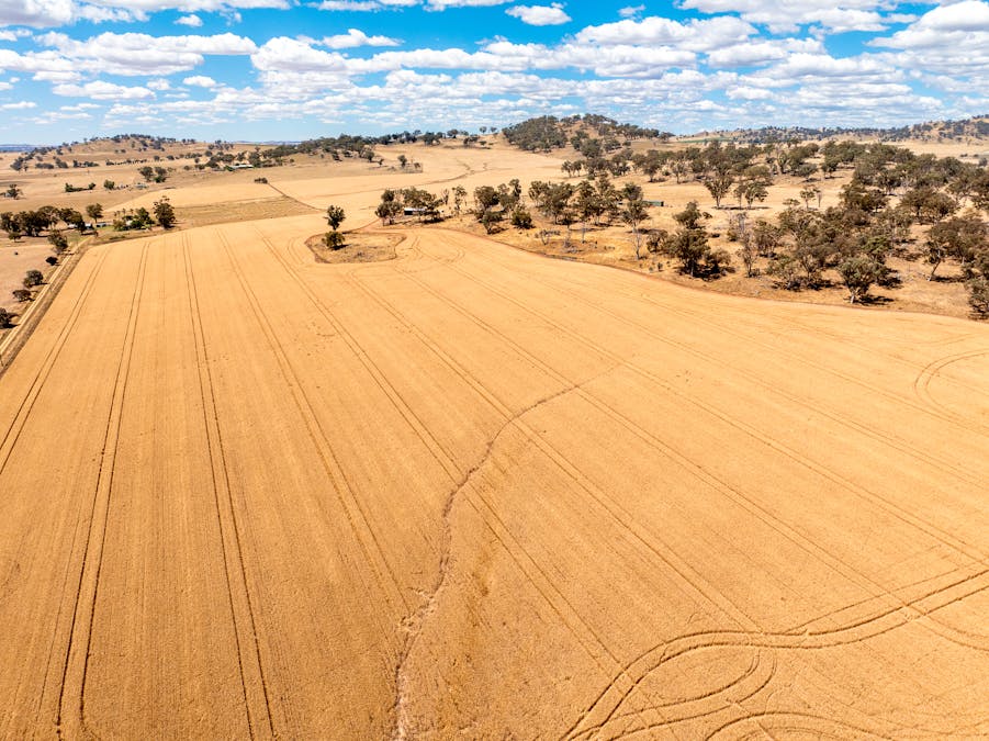 530 Billimari Road, Cowra, NSW, 2794 - Image 12