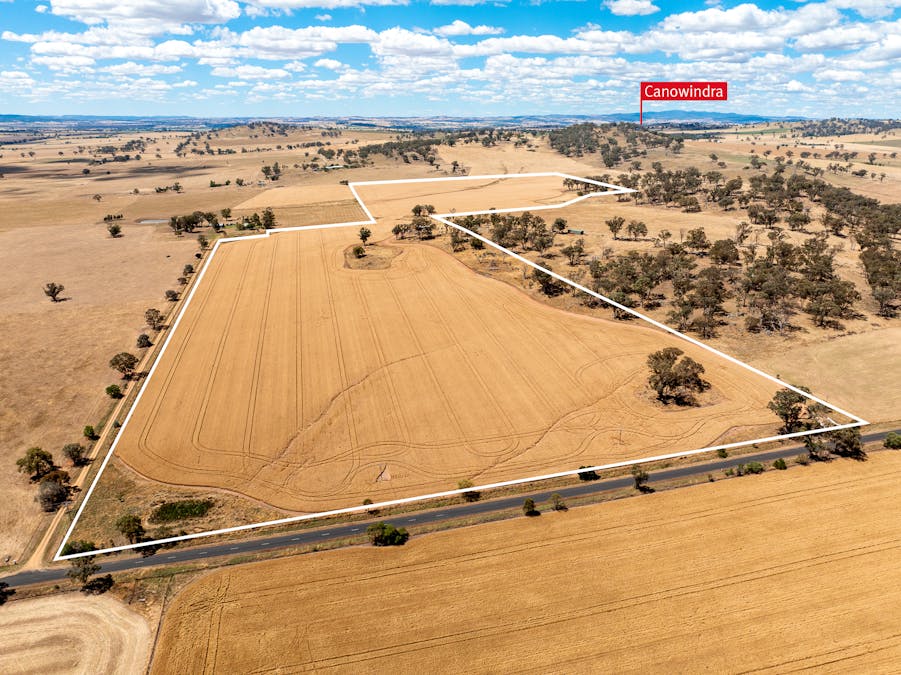 530 Billimari Road, Cowra, NSW, 2794 - Image 3