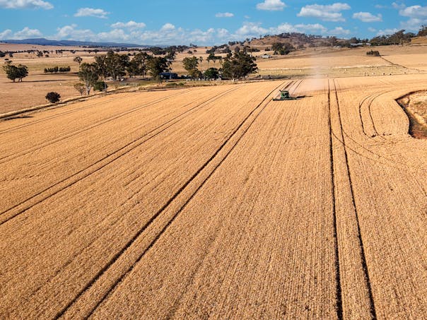 530 Billimari Road, Cowra, NSW, 2794 - Image 1